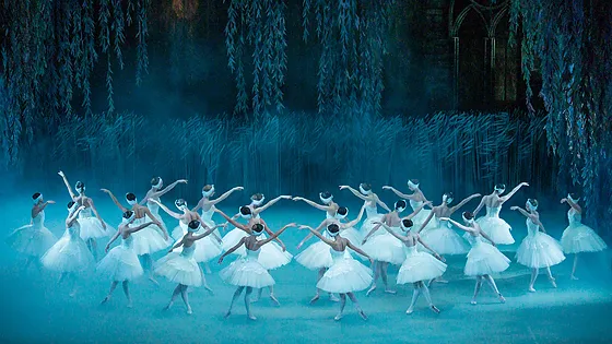 Билеты на Лебединое озеро в Перми 14 дек...