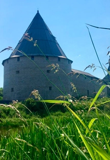  Старая Ладога: экскурсия 20 дек 2025 из СПб 