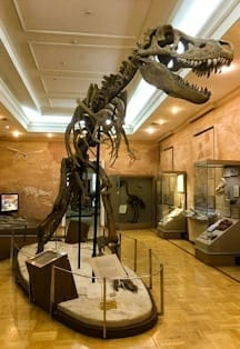 Музей естественной истории в Казани — 28 дек 2025