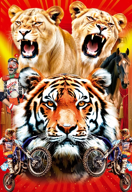 Цирк в Вологде 04 окт 2025: тигры, львицы, экстрим-шоу