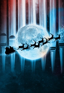  Концерт «Орган в Планетарии» — 07 янв 2026, СПб 