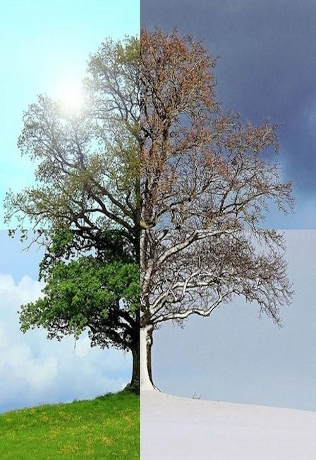 Билеты на концерт "Времена года" Вивальди, Пьяццолла 11 Янв 2026