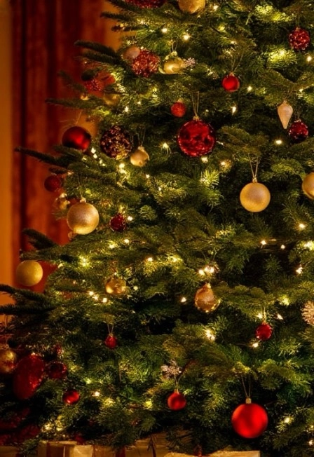 Концерт Вивальди 31 дек 2025 в СПб – встреча Нового года