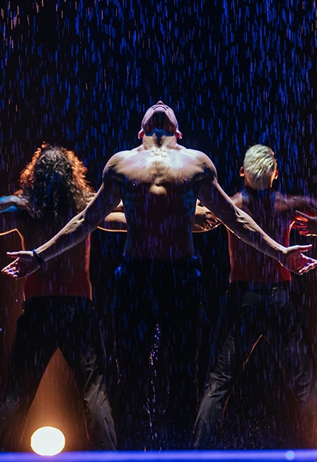 Билеты на Шоу под дождем 4 янв 2026 СПб