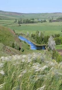 Билеты: Оренбуржье - край неповторимый 26 Дек 2025