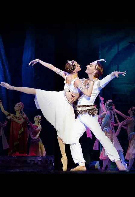 Билеты на Баядерку в Москве 17 марта 2026