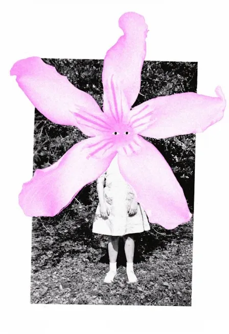 Билеты: Море. Звёзды. Олеандр. Владивосток 29 Ноя ...