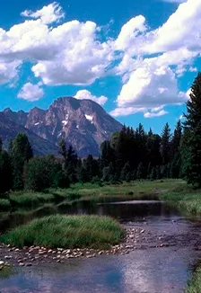 Билеты на Заповедная Россия 12 Янв 2026, Саранск