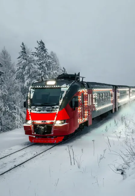 Билеты на Новогодний экспресс в Уфе 27 декабря 2025