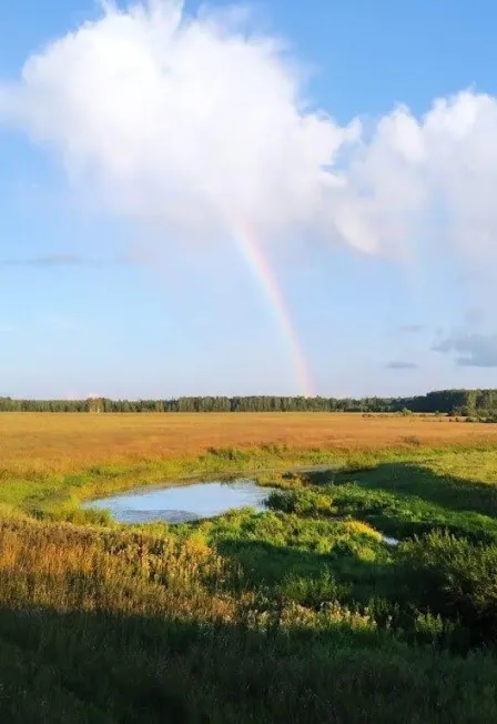 Билеты на «Тропинками родного края» 20 янв 2026