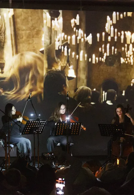 Билеты на концерт Гарри Поттер 26 дек 2025 Москва