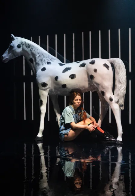 Билеты на Здравствуйте, Астрид! 07 Янв 2026 Москва