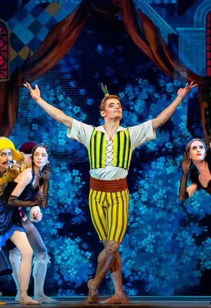 Билеты на Чиполлино в Москве 23 мая 2026