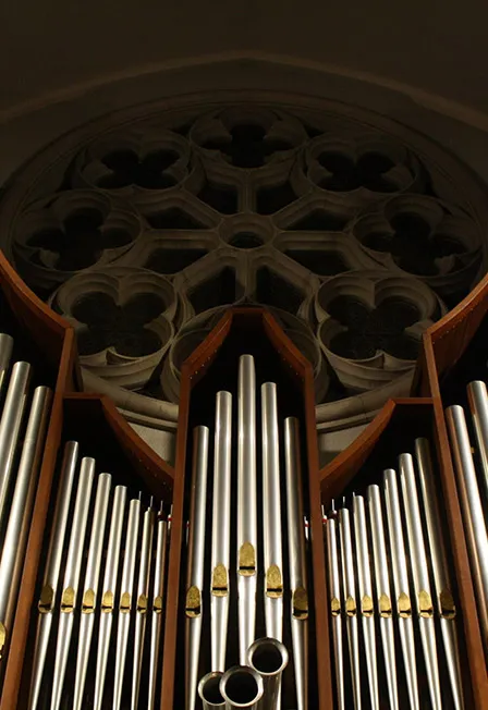 Билеты на орган: Музыка радости и света 21 дек 2025