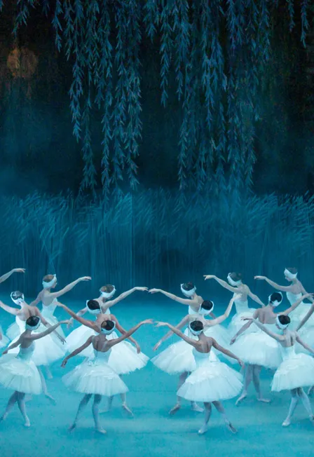 Билеты на Лебединое озеро в Перми 01 ФЕВ 2026