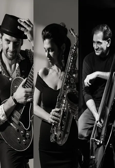 Билеты на Faberge Trio в СПБ 8 янв 2026: Французский джаз