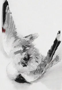 Билеты на Чайку в МДТ 02 Янв 2026