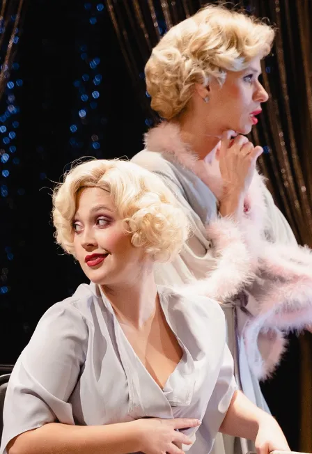 Билеты на "Шоу для настоящих леди" 29 Дек 2025 СПб