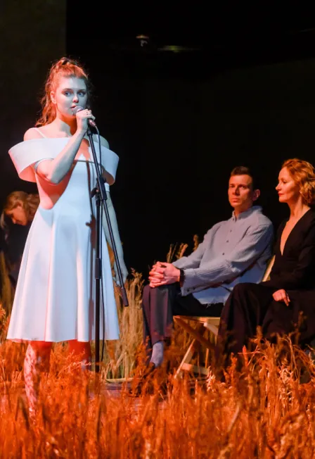 Билеты на "Чайку" в Александринском театре 14 янв