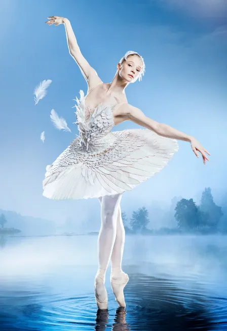 Билеты на Лебединое озеро 22 янв 2026 | СПб