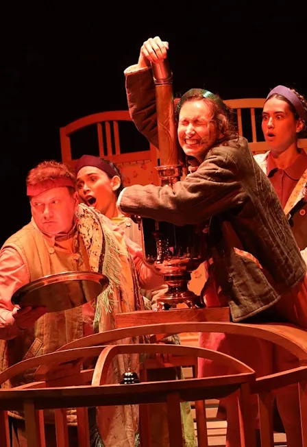 Билеты на Солнце муха крокодил 16 янв 2026 Москва