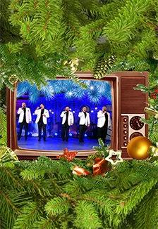 Билеты на Новогодний голубой огонёк 29 Дек 2025, Москва