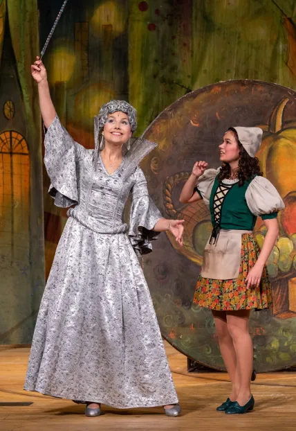 Билеты на Золушку в Москве 15 фев 2026