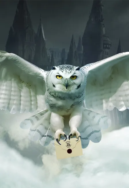 Билеты на концерт Гарри Поттер, Оркестр Sonorus 20 дек 2025