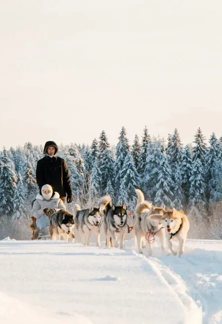 Билеты на тур к Деду Морозу и Рускеалу 5 янв 2026