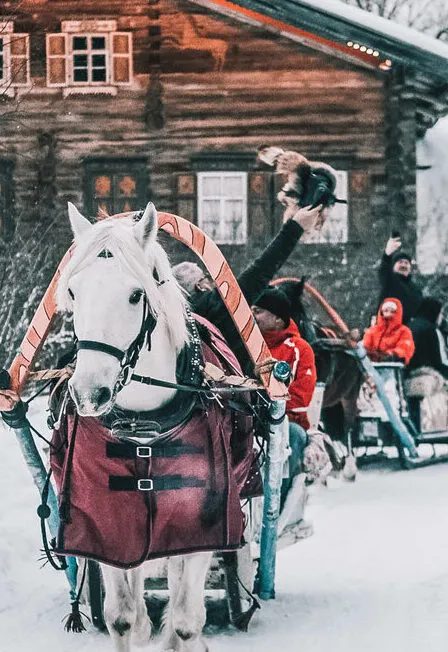 Билеты в Мандроги 5 Янв 2026, СПб