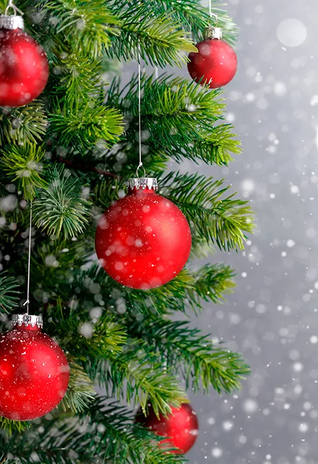 Билеты на концерт "В ожидании чуда" 24 Д...