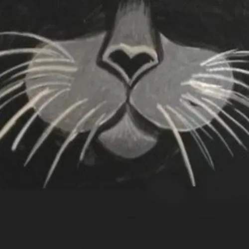 Билеты на "Кошкин дом" в Краснодаре 1 февраля 2026