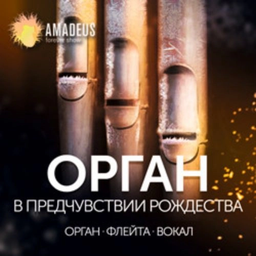 Органная музыка в Санкт-Петербурге 20 Дек 2025