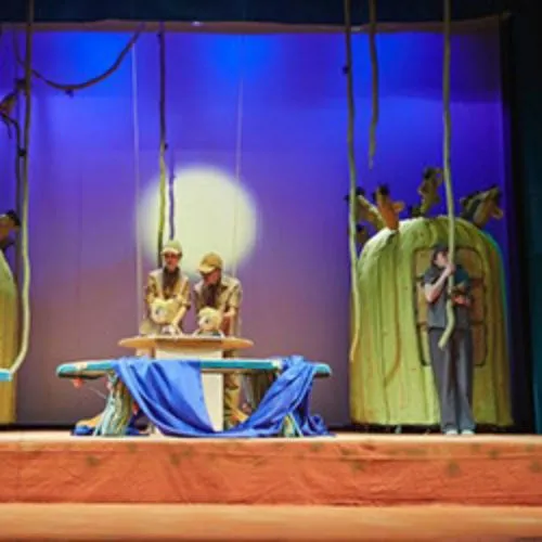 Билеты на Путешествие в Чукоккалу 21 фев 2026 в Новосибирске