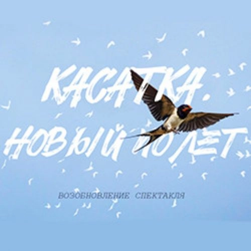 Касатка: Новый полет в Санкт-Петербурге 27 мая 2025