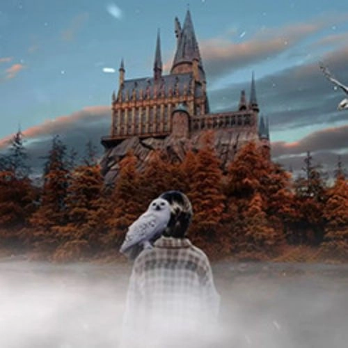 Гарри Поттер и HighTime Orchestra в ВДНХ 27 ИЮЛ 2025