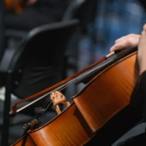 Билеты на камерную музыку в Перми 27 янв