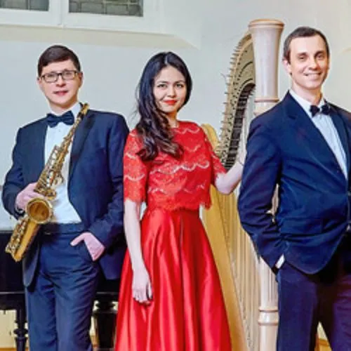 Билеты на концерт арфы, саксофона, органа 08 Янв 2026 Москва