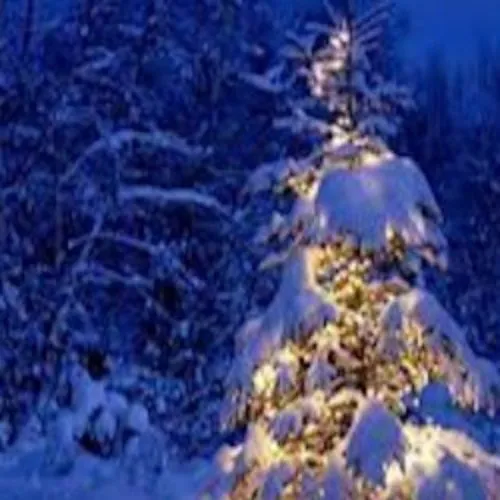 Билеты: Как Дед Мороз появился в Пензе 5 Янв 2026