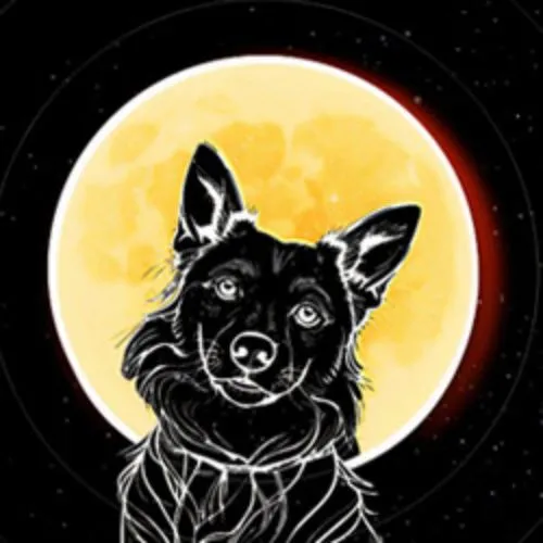 Билеты на «Звёздные псы» 7 янв. СПб