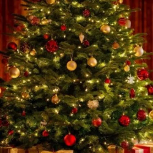 Билеты на концерт Вивальди в СПб 31 дек 2025