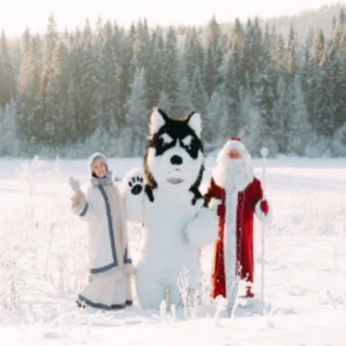 Билеты: Новый год в Карелии 30 Дек 2025