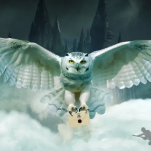 Билеты на Симфонию Гарри Поттера в Красноярске 09 янв 2026