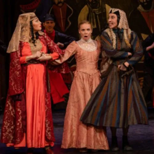 Билеты на "Хануму" в Нижнем Новгороде 28 янв 2026