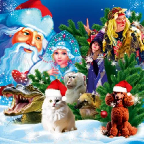 Билеты на цирк 21 дек. Москва: Сказка «Приключения Бабы Яги»