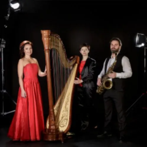 Билеты на орган, арфу и дудук 30 дек 2025 Москва