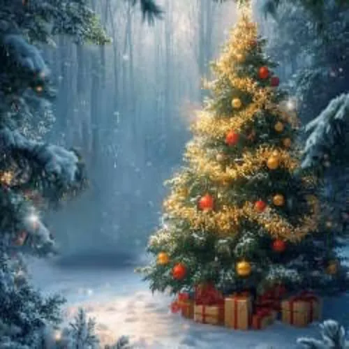 Билеты на концерт «Мечты сбываются под Новый год» 24 декабря Владивосток