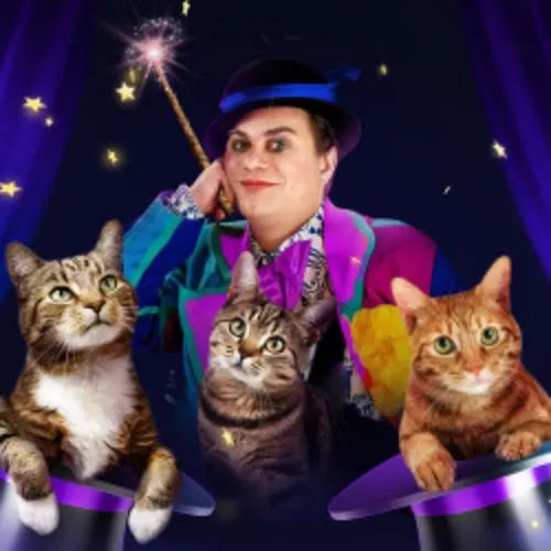 Билеты на "Волшебные кошки Куклачёва" 06 янв 2026