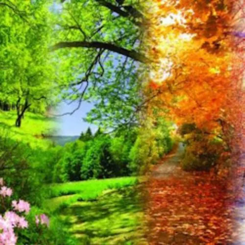 Билеты на концерт Вивальди: Времена года...