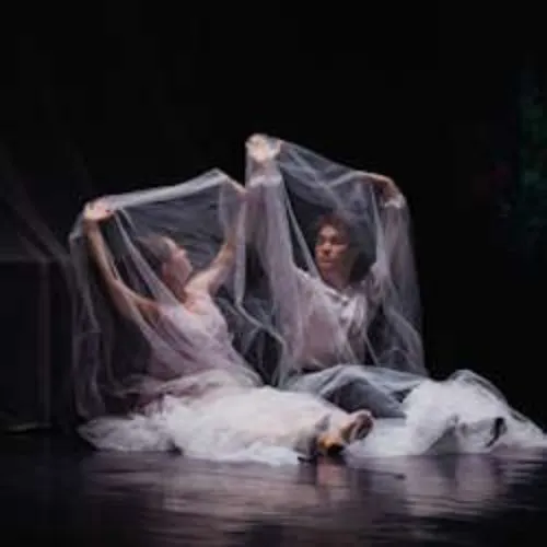 Билеты на "Гранатовый браслет" в Хабаров...